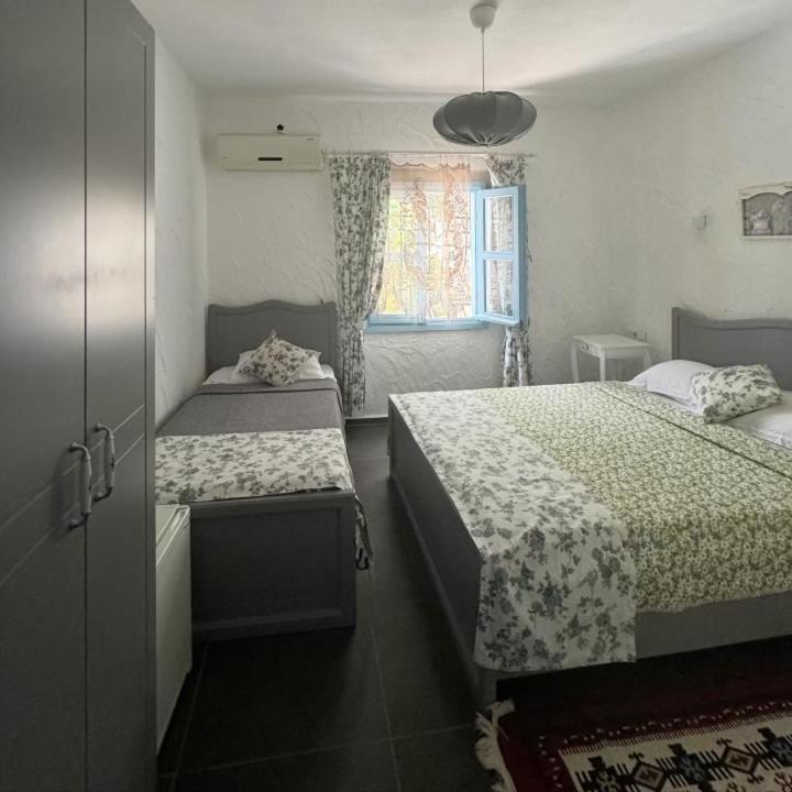 卡基尔先生住宿加早餐旅馆 阿拉恰特 外观 照片